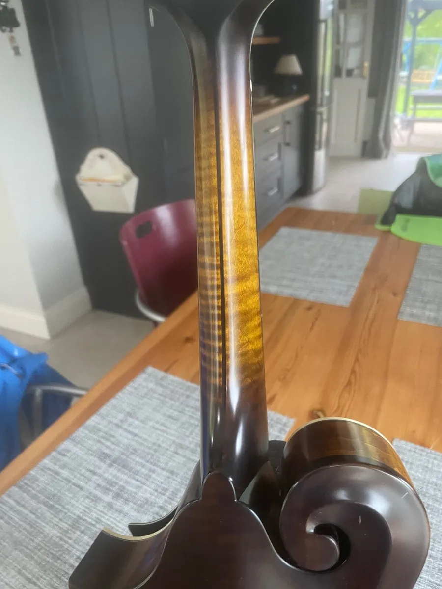 F5 mandolin - Image 3