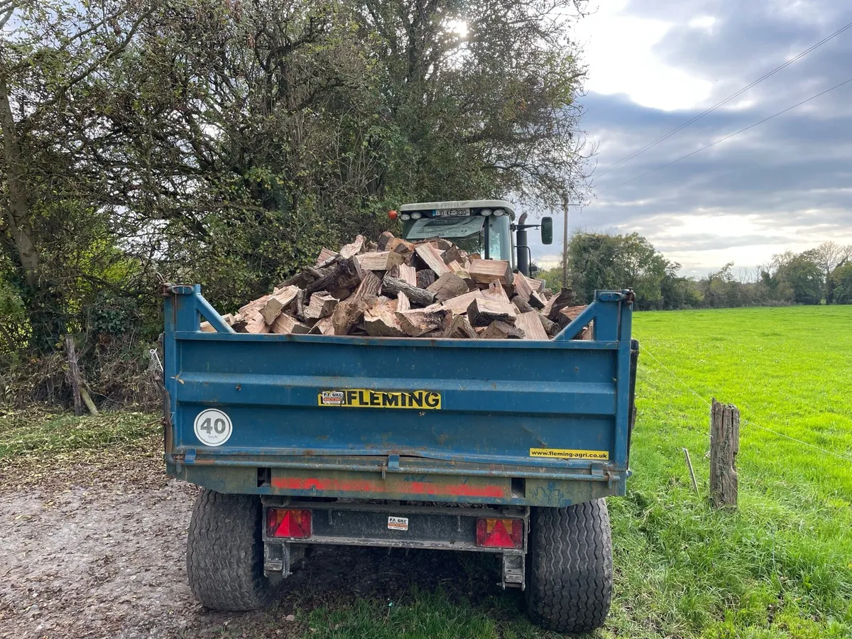 Ash firewood - Image 1