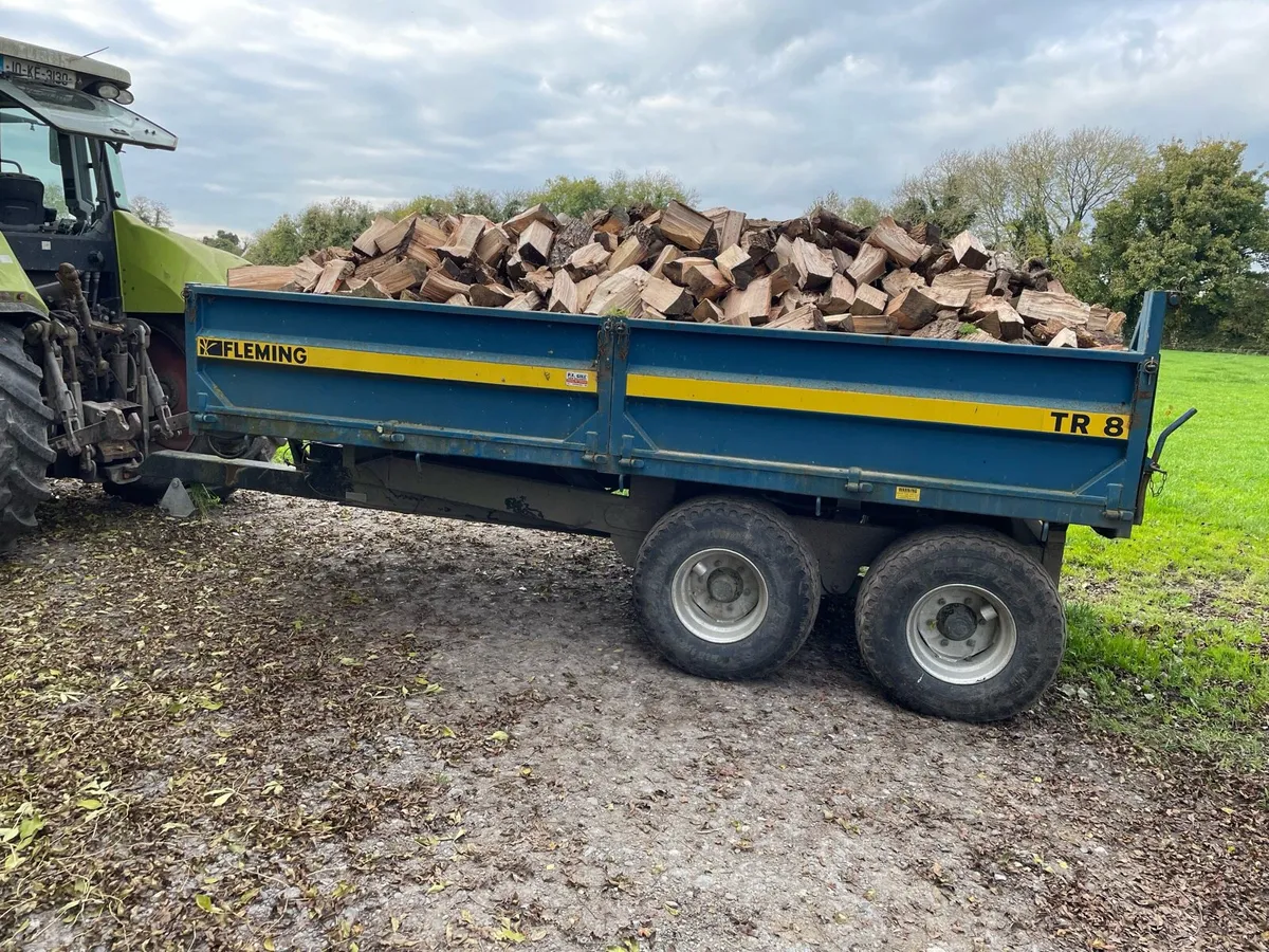 Ash firewood - Image 2