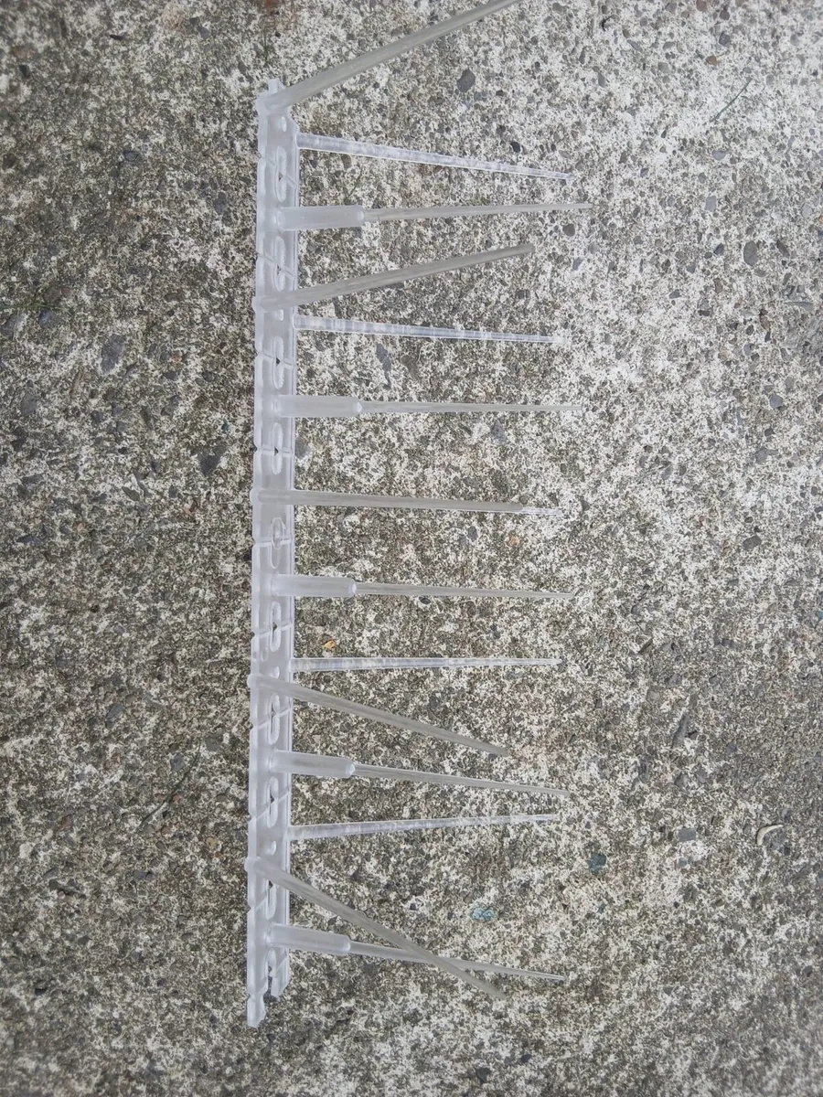 30x Bird Spikes - Image 2