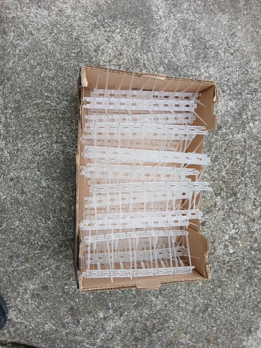 30x Bird Spikes - Image 3