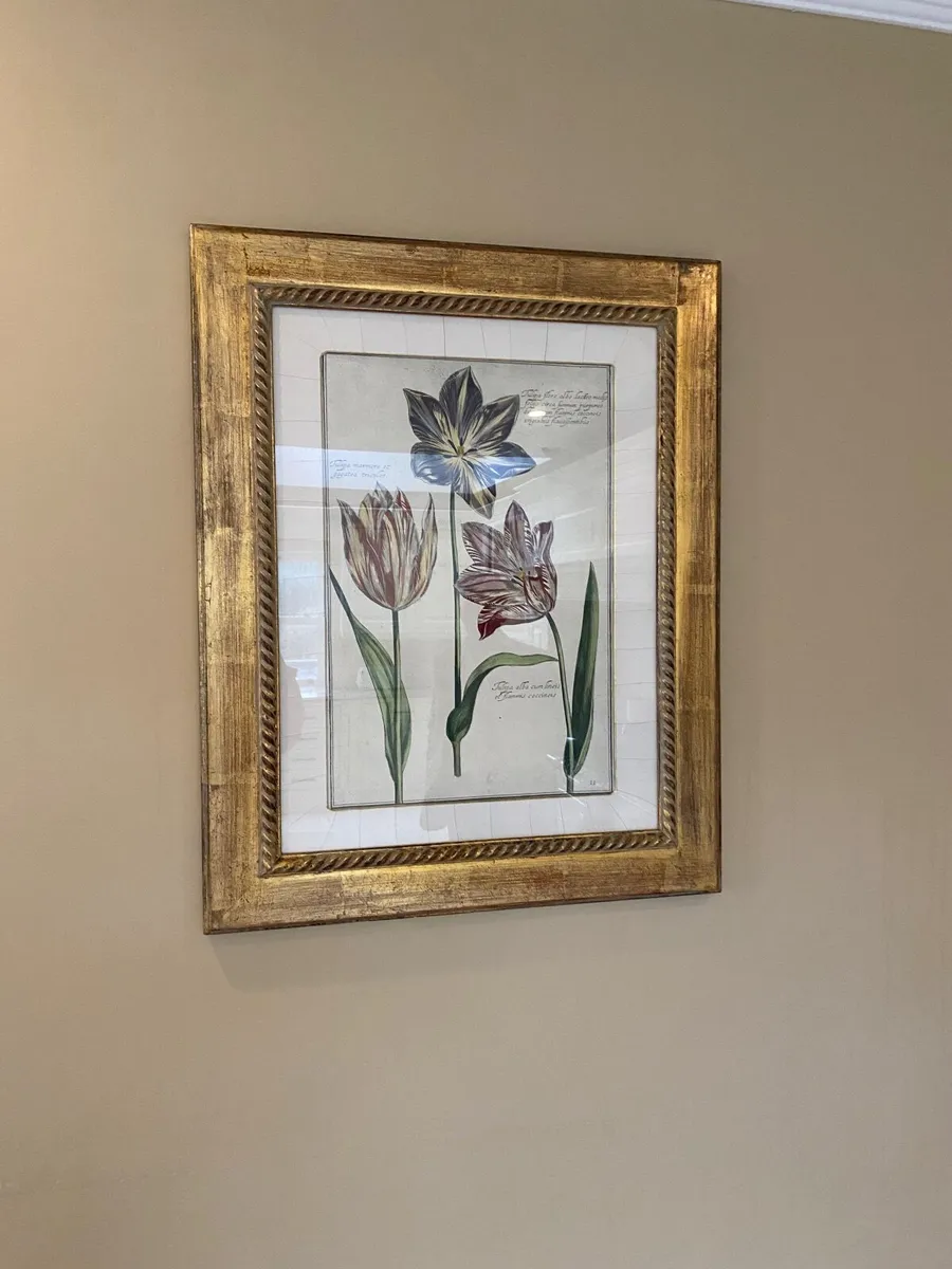 Pic in frames - Image 1