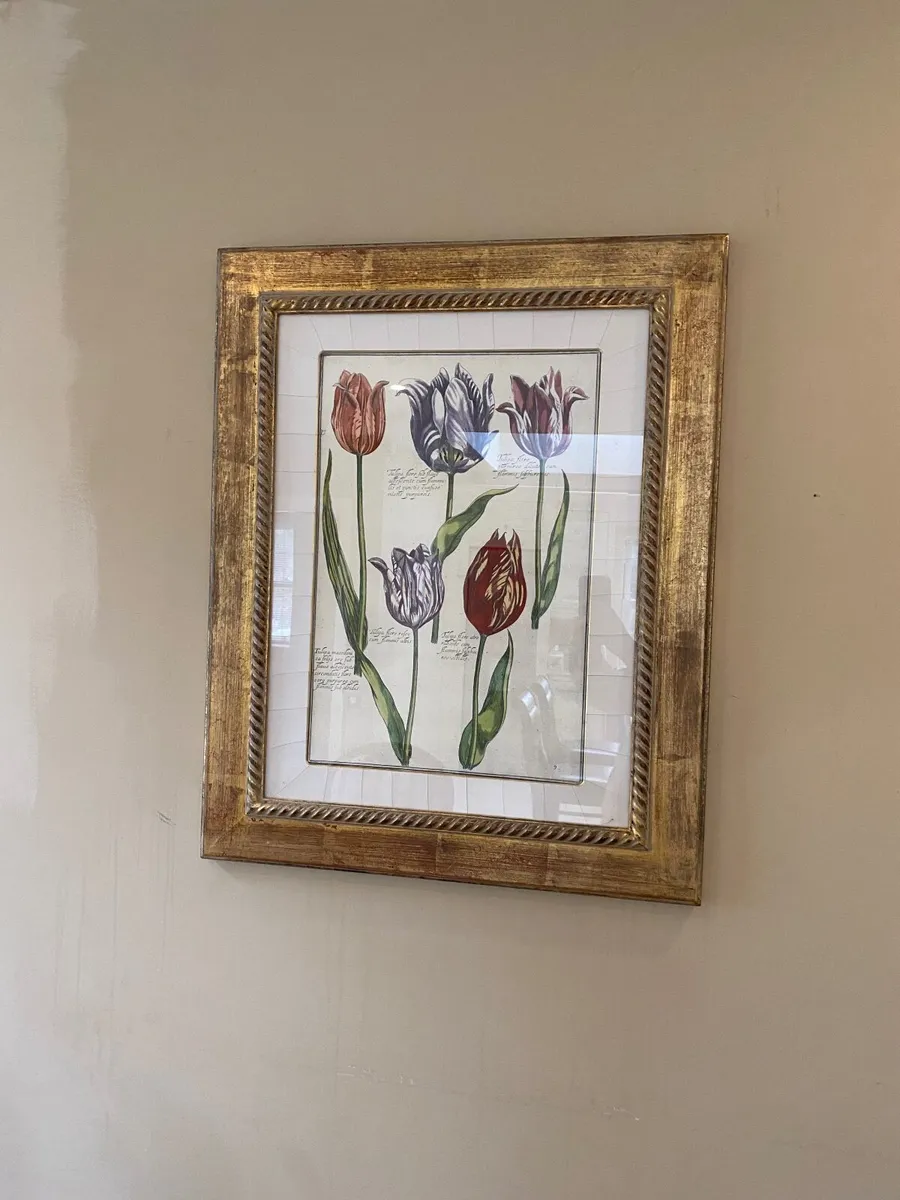 Pic in frames - Image 2
