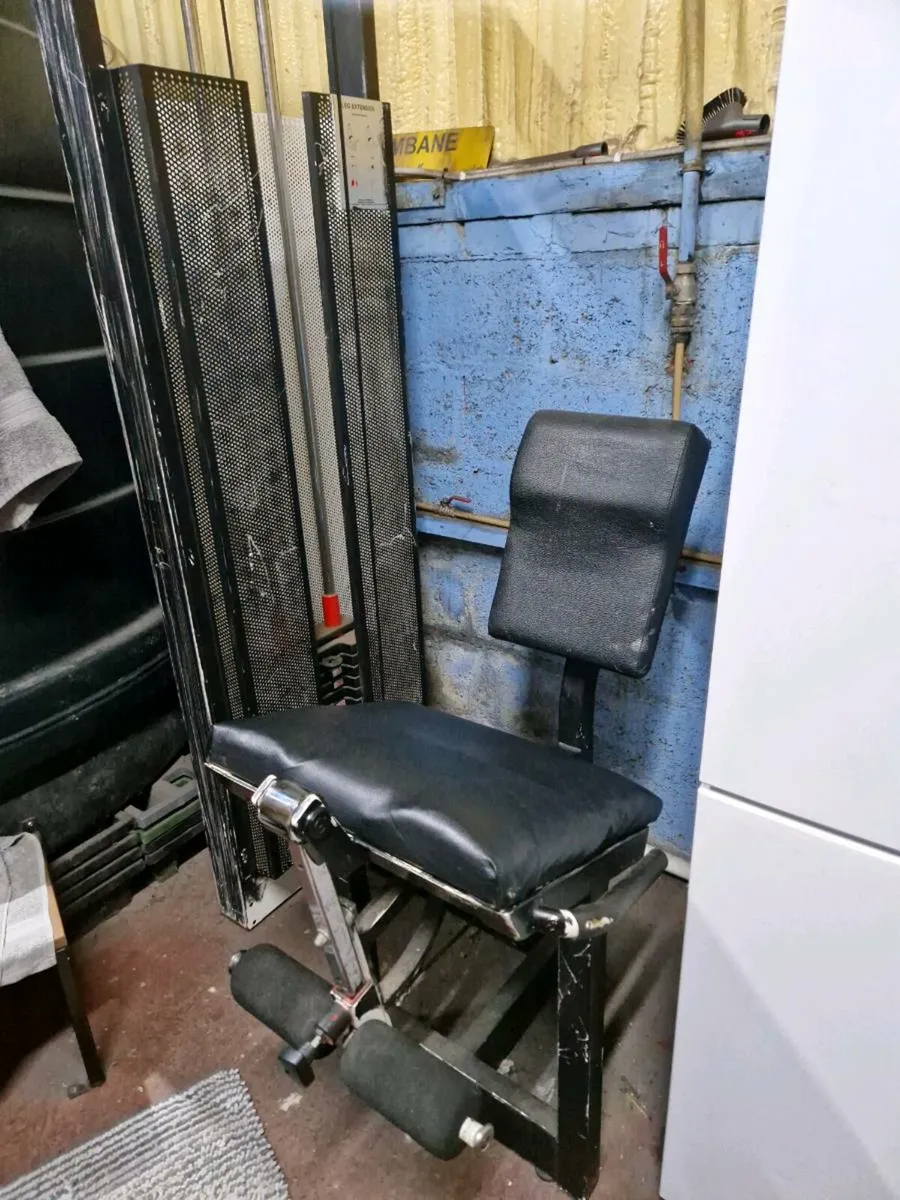 Leg extension machine - Image 1