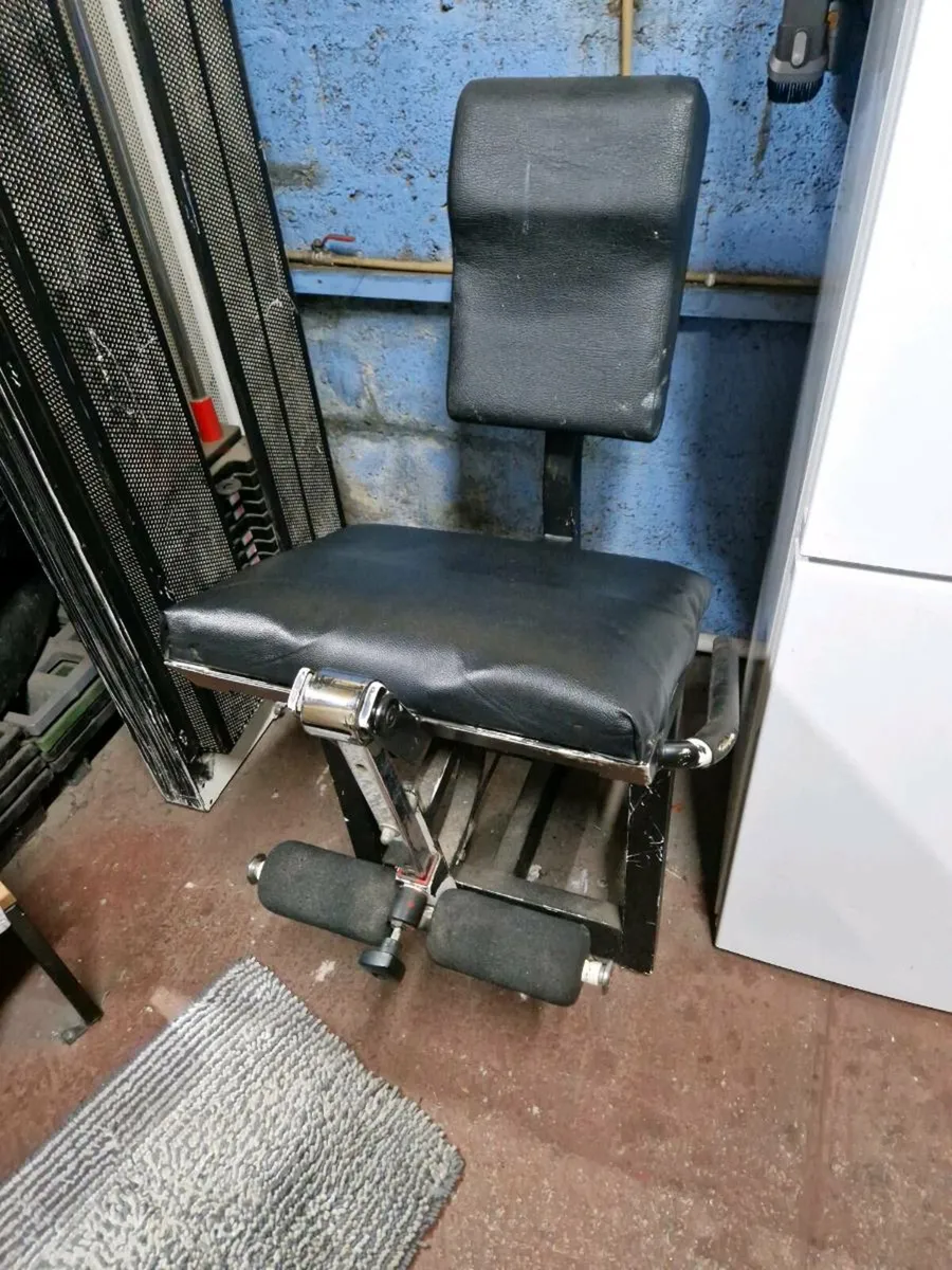 Leg extension machine - Image 2