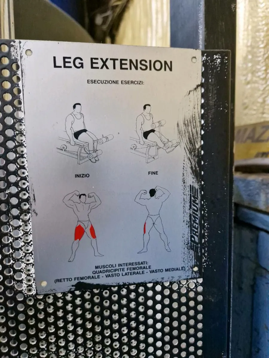 Leg extension machine - Image 4