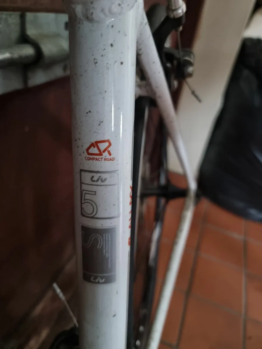 Bike - Image 2