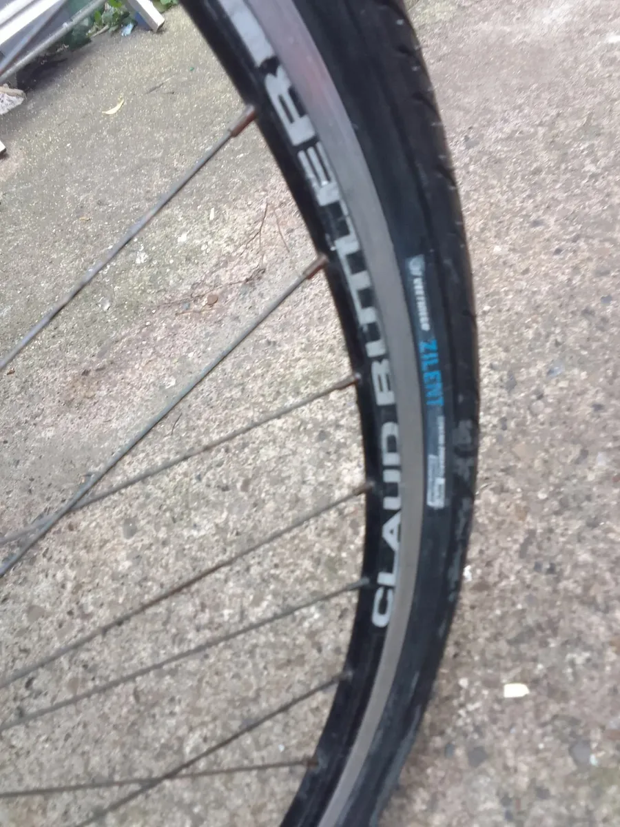 adult bike for sale - Image 3