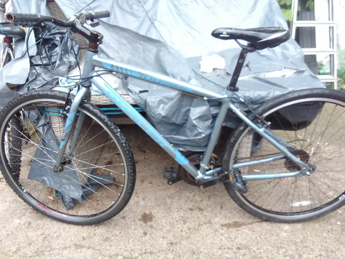 adult bike for sale - Image 1