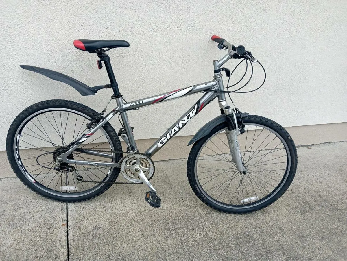 Mountain bike - Image 1