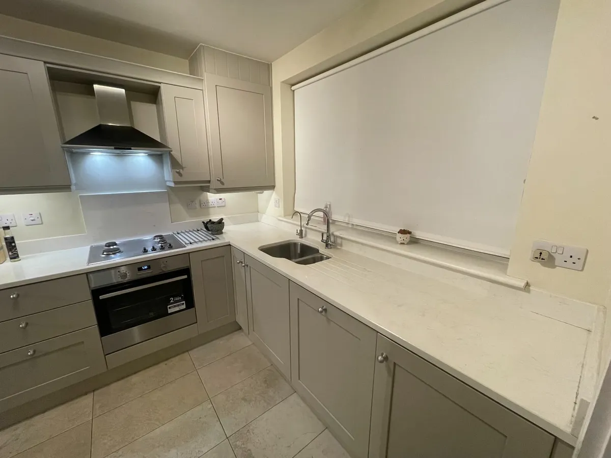 Handpainted Nolan Kitchen - Image 4