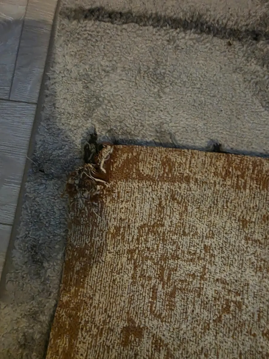 Louis de Poortere rug - Image 3