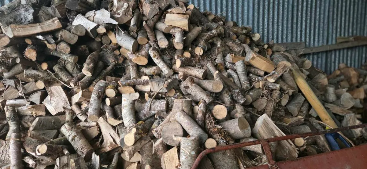 Firewood - Image 1