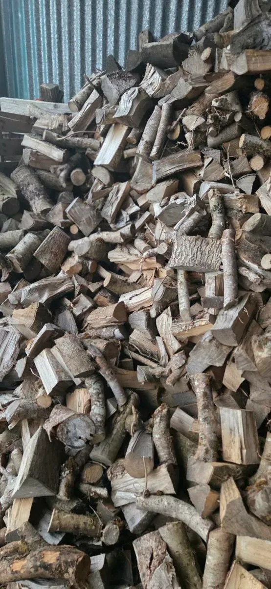 Firewood - Image 2