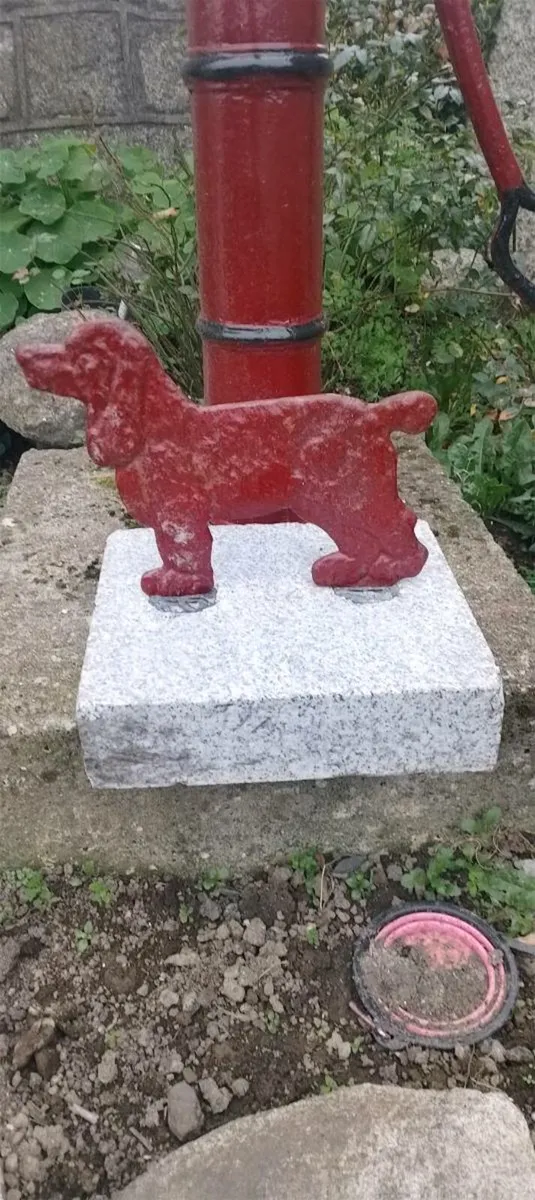 Springer spaniel boot scraper - Image 1