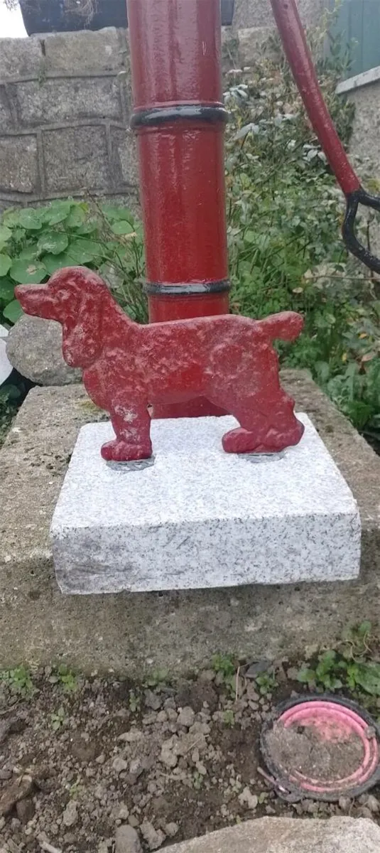 Springer spaniel boot scraper - Image 2