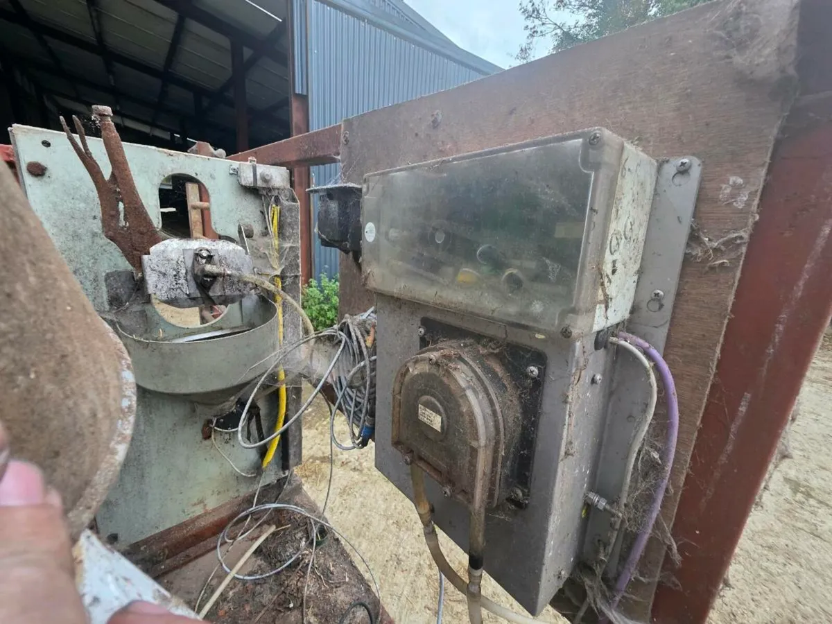 Foster technic - Image 4