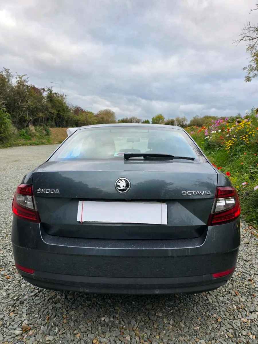 SKODA OCTAVIA 2018 1.2 TSI LOW MILEAGE - Image 2