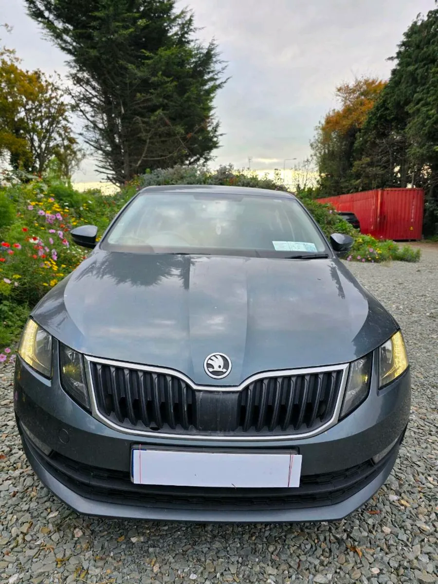 SKODA OCTAVIA 2018 1.2 TSI LOW MILEAGE - Image 3
