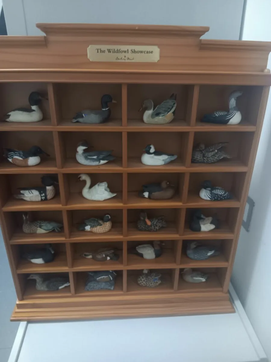 Wild fowl showcase - Image 1