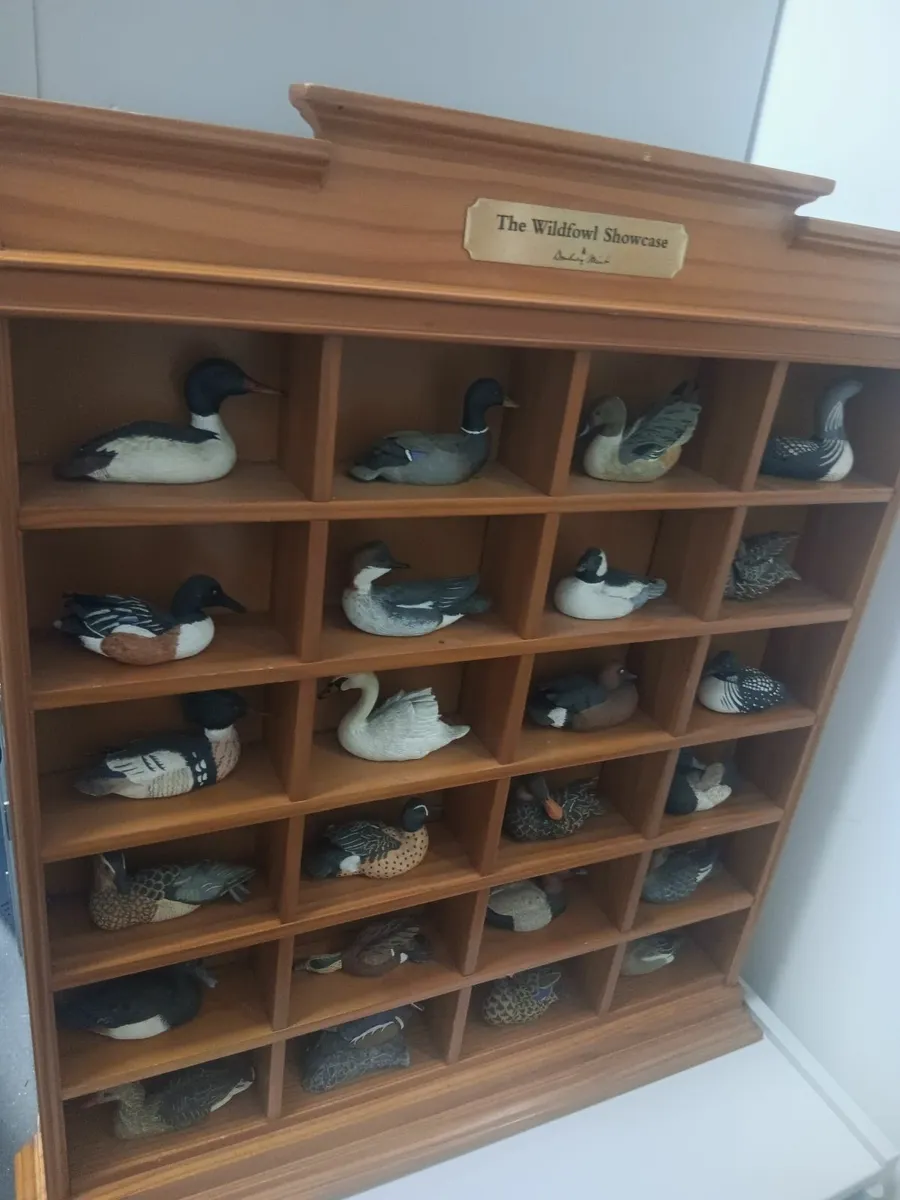 Wild fowl showcase - Image 2