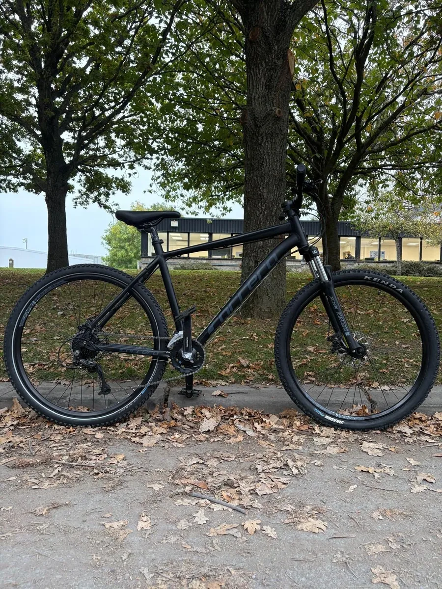 Carrera - Image 2