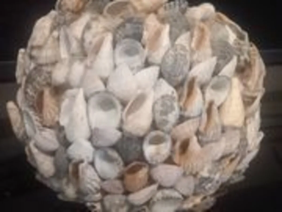 Lovely Hand crafted Seashell plant pot