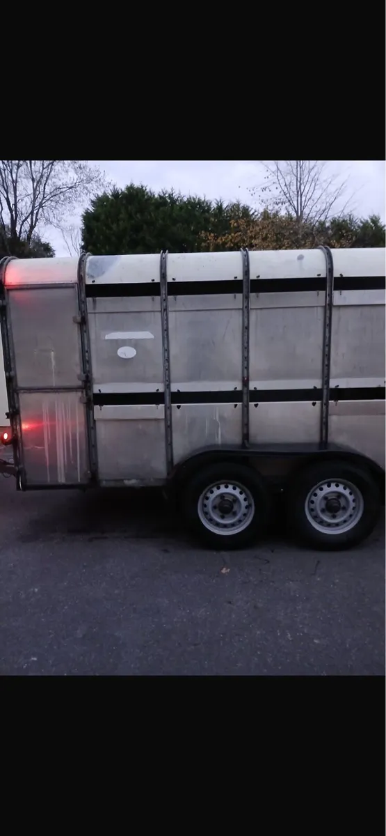 Cattle trailer - Image 3
