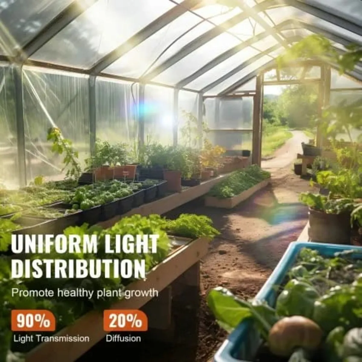 Greenhouse Plastic Sheeting 12 x 50 ft, 6 Mil Thic - Image 4