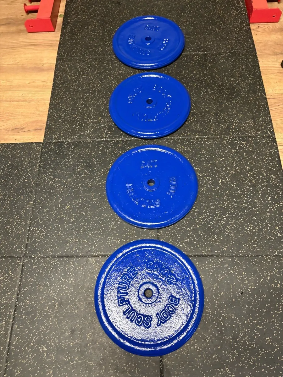 4 X 20KG METAL STANDARD 1 INCH PLATES - 1/2 PRICE! - Image 1