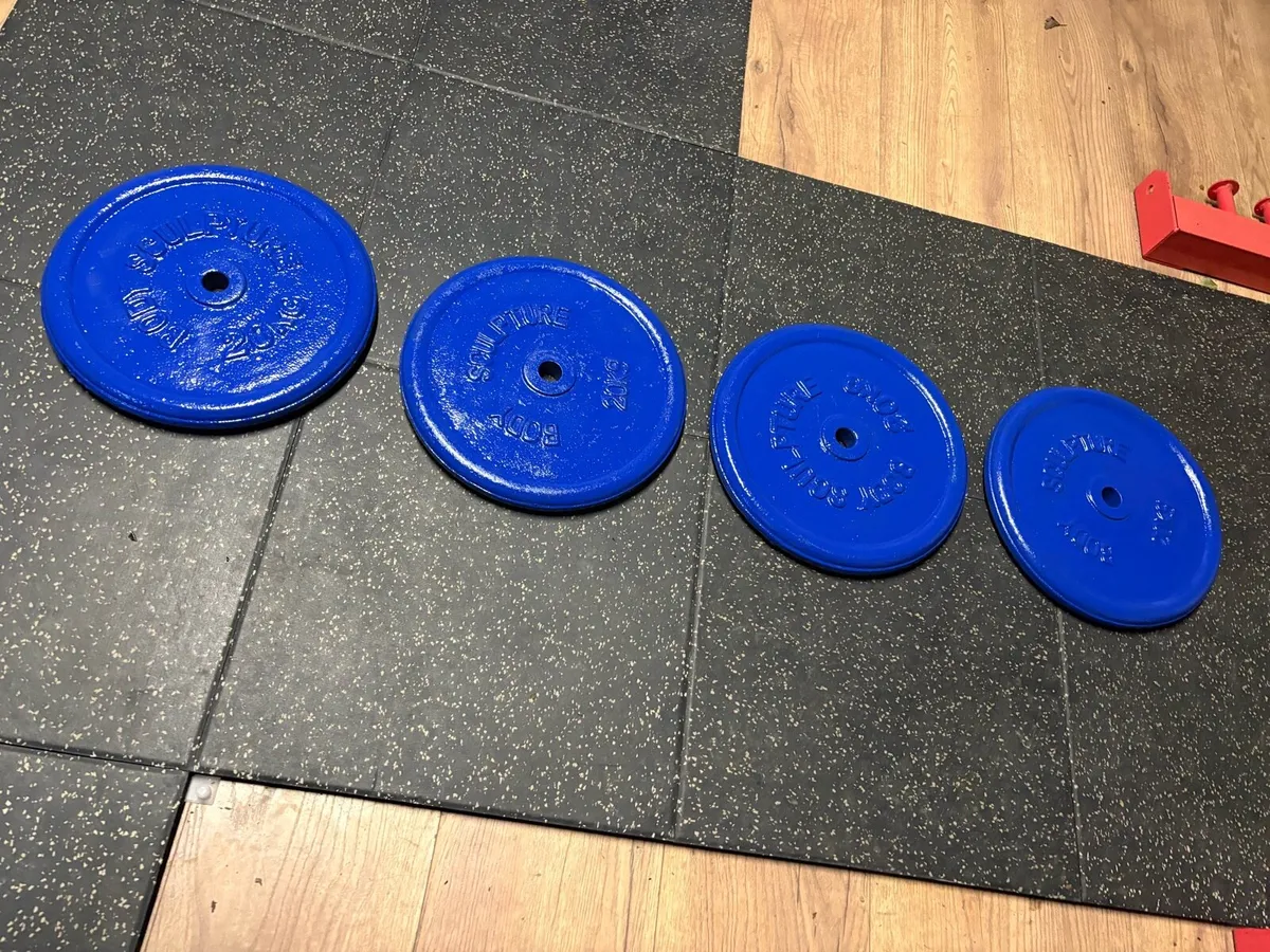 4 X 20KG METAL STANDARD 1 INCH PLATES - 1/2 PRICE! - Image 2