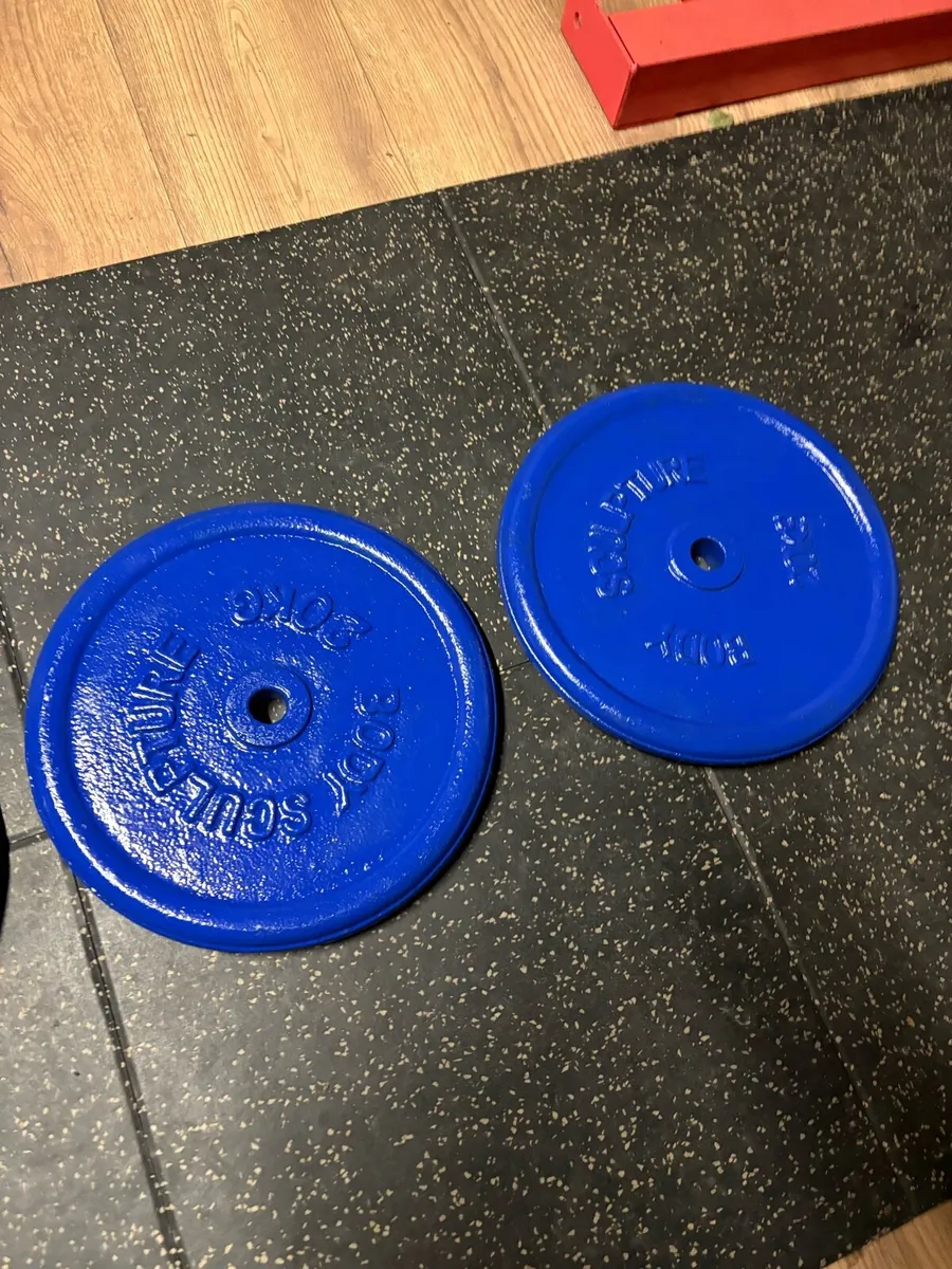 4 X 20KG METAL STANDARD 1 INCH PLATES - 1/2 PRICE! - Image 4