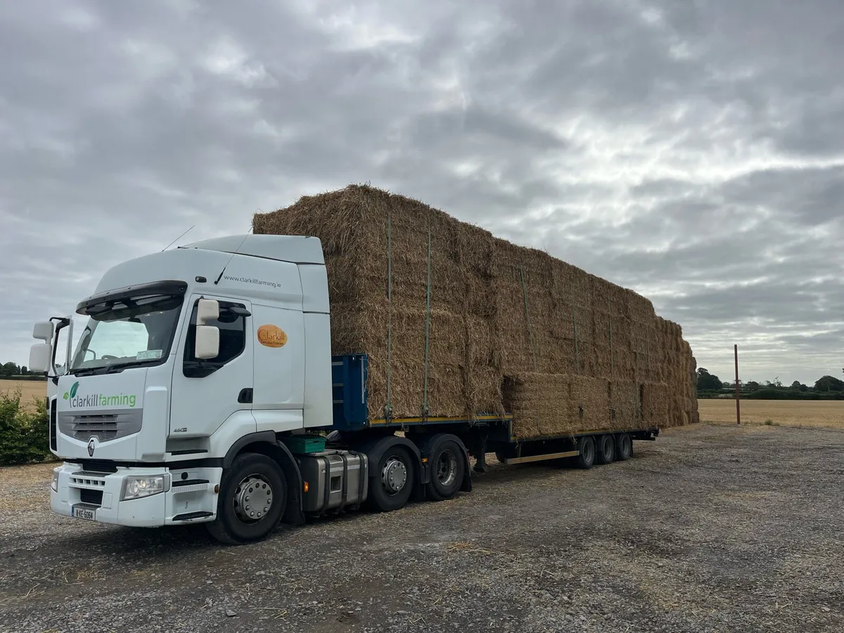 Wheaten straw - Image 1