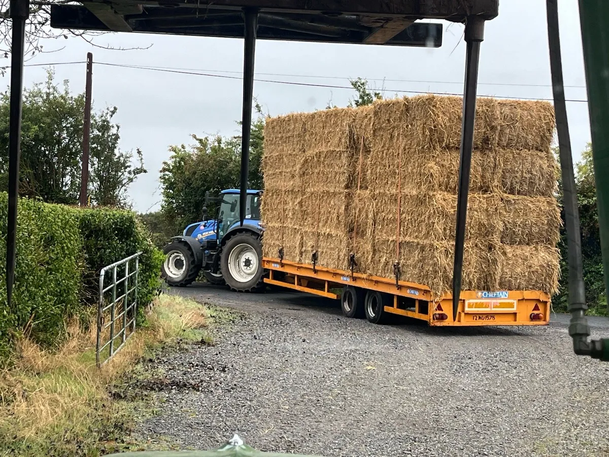 Wheaten straw - Image 2