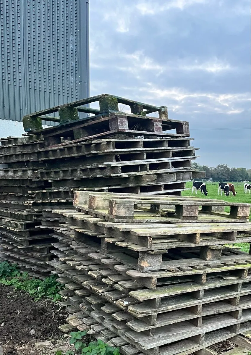Pallets - Image 1