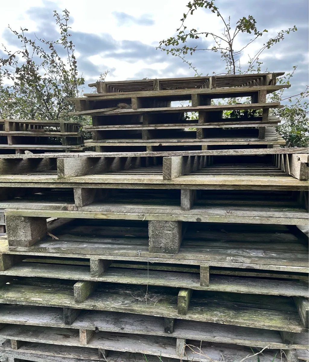 Pallets - Image 2