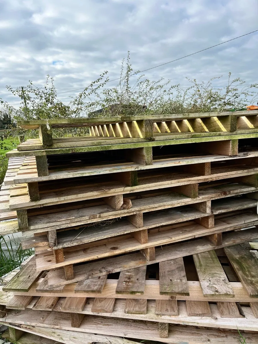 Pallets - Image 3