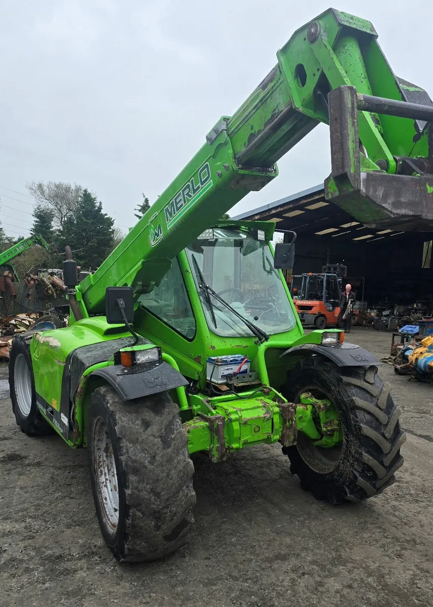Merlo - Image 1