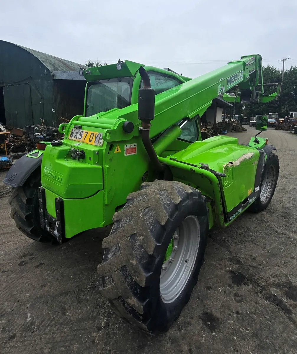 Merlo - Image 2
