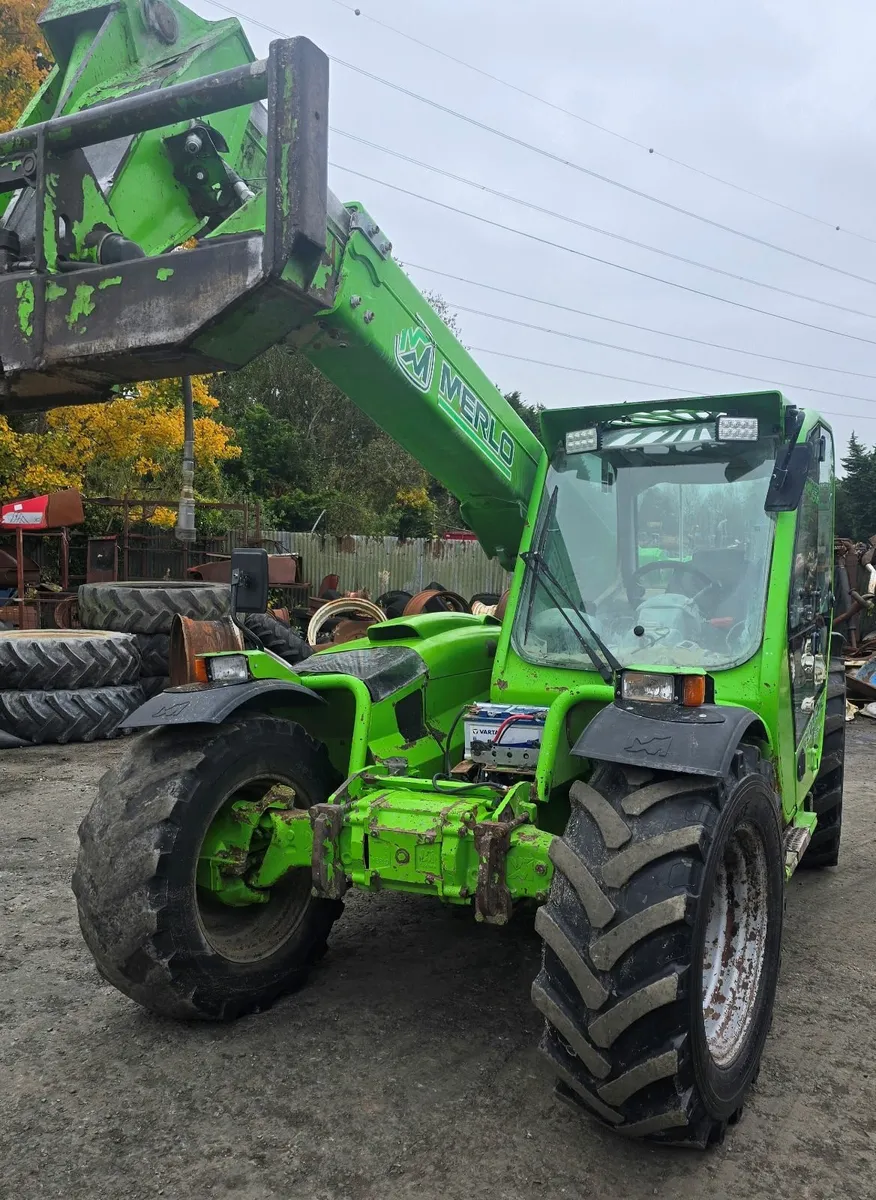 Merlo - Image 3