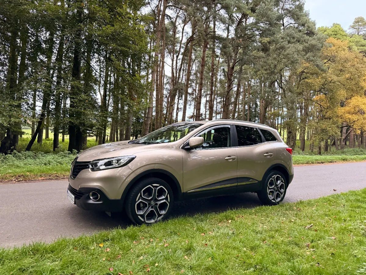 Renault Kadjar 2018 Low Miles - Image 3