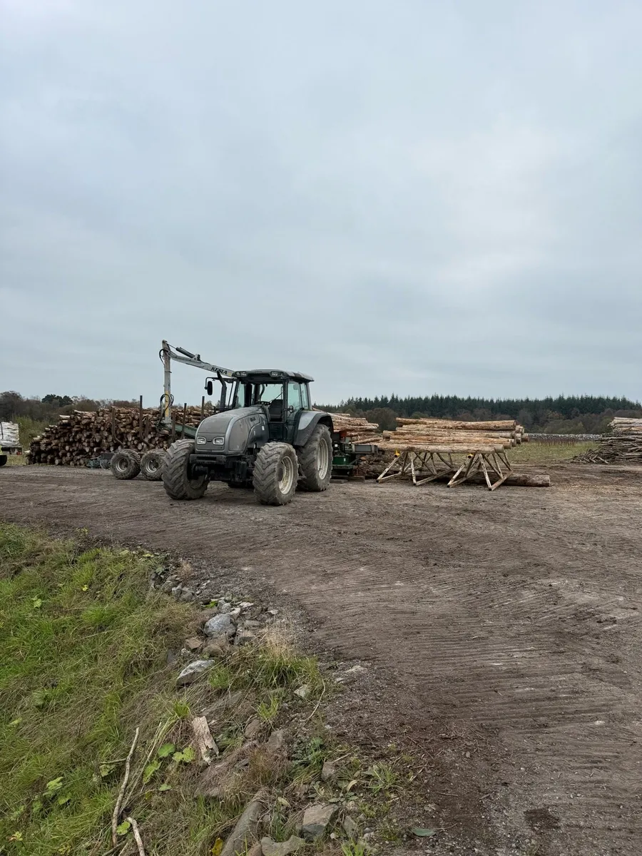 Firewood