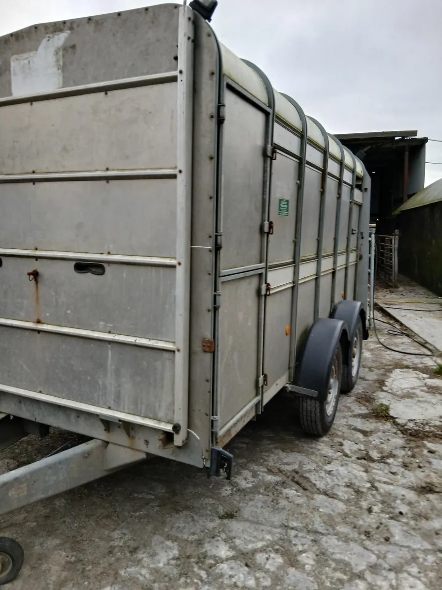 Cattle trailer - Image 2