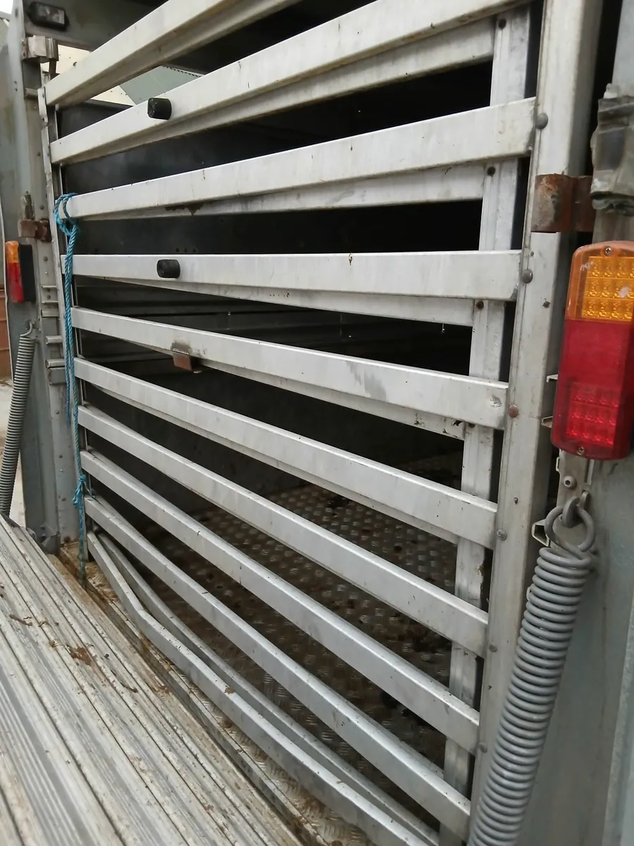 Cattle trailer - Image 3