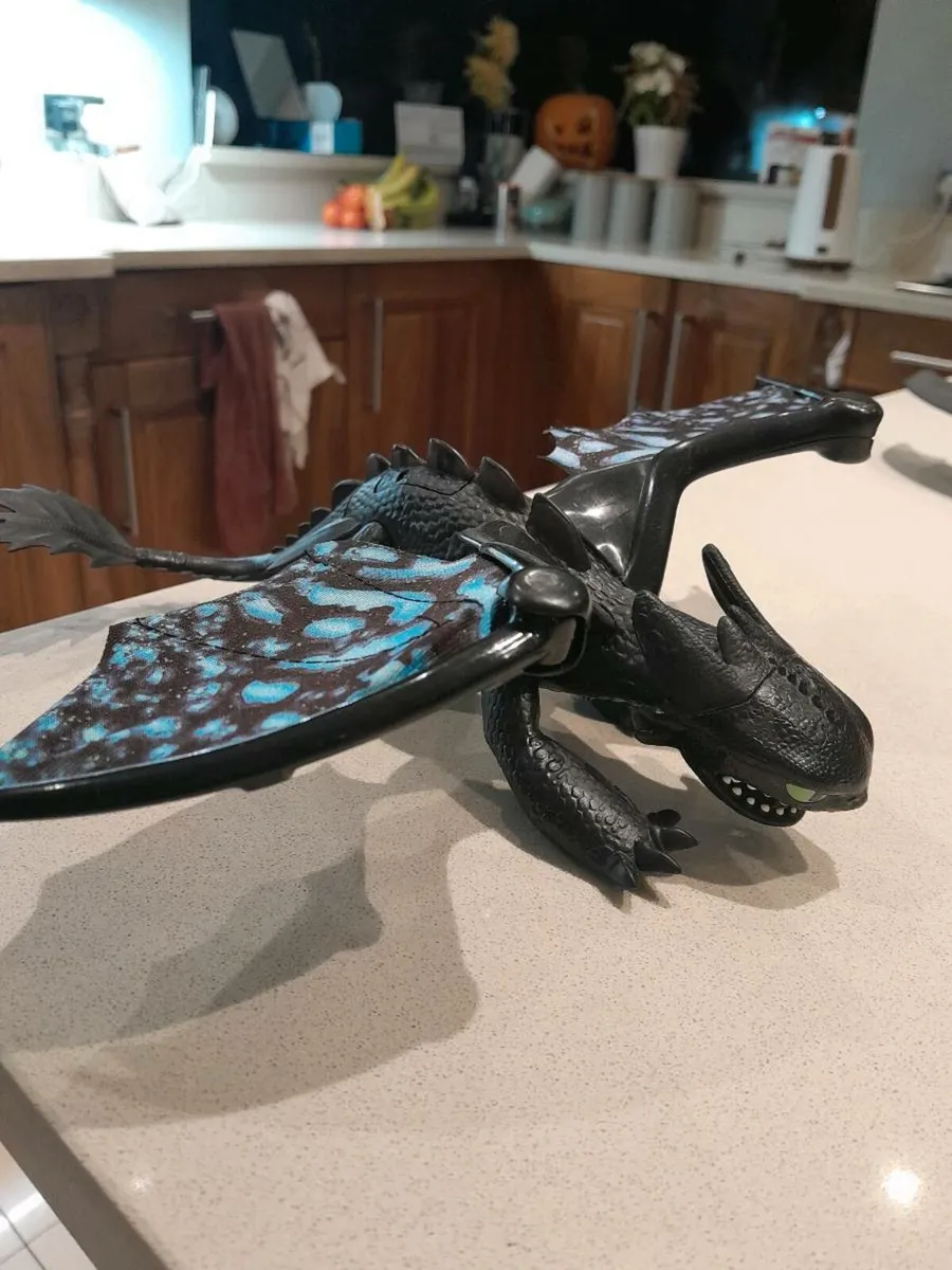 How to train your dragon. - Image 4