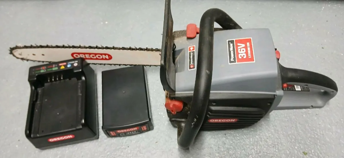 Oregan cordless chainsaw - Image 1