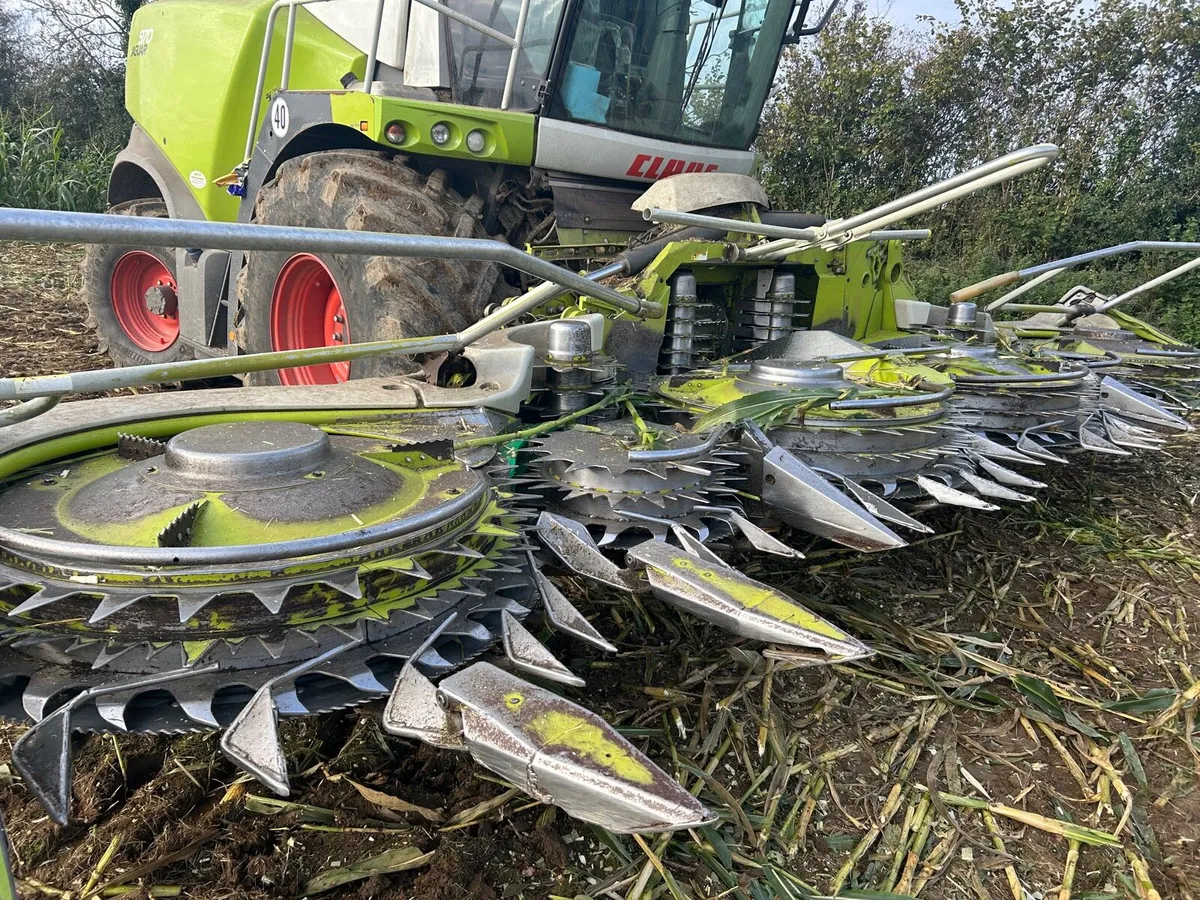 Claas orbis 750 - Image 4