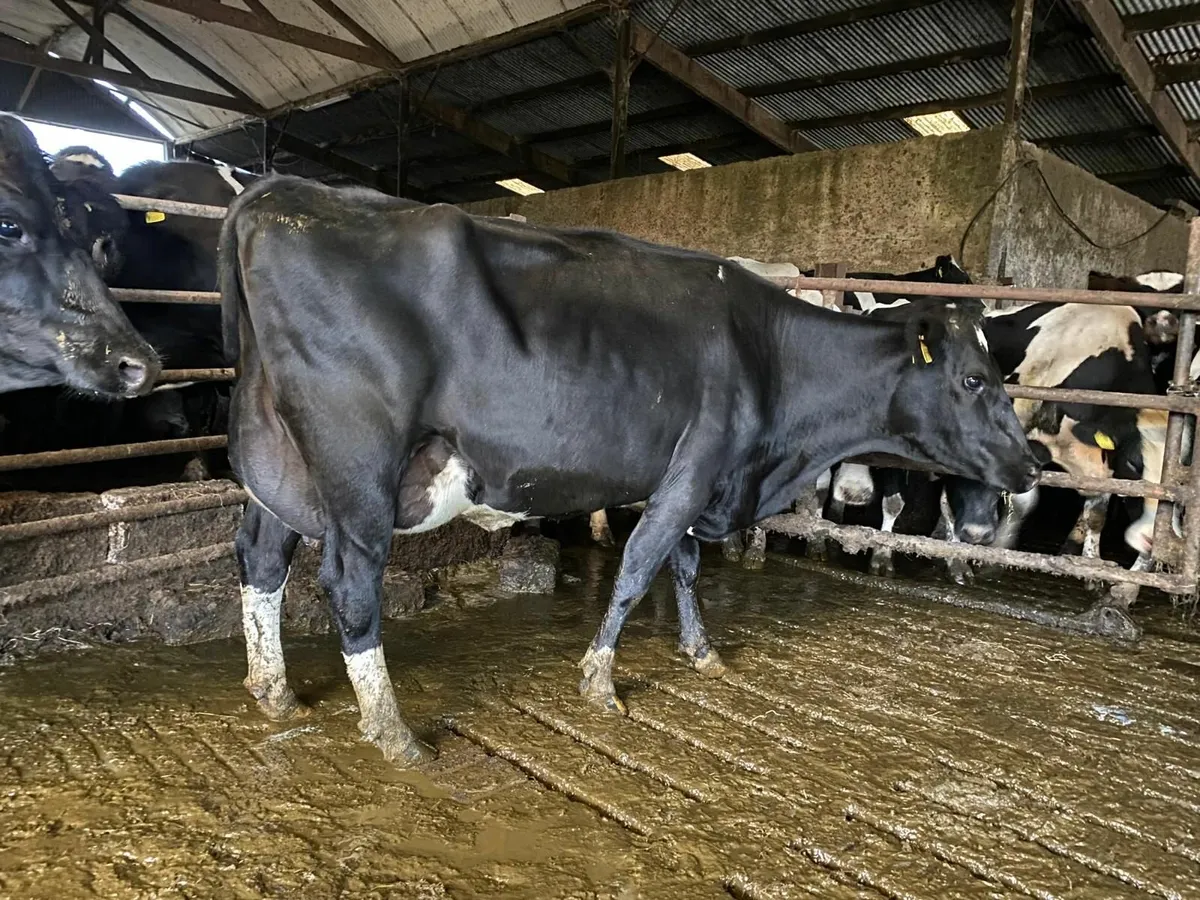 Farming - Image 1