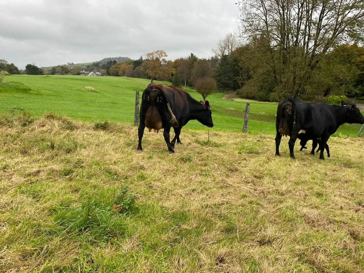 Farming - Image 2