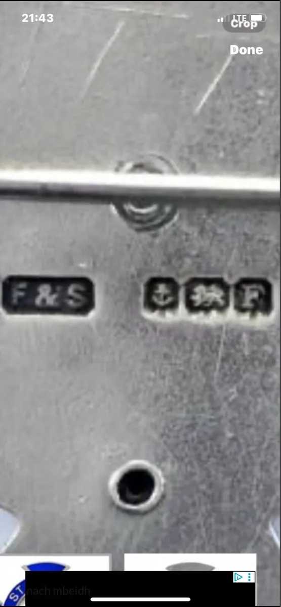 Silver Nurses Badge - Image 4